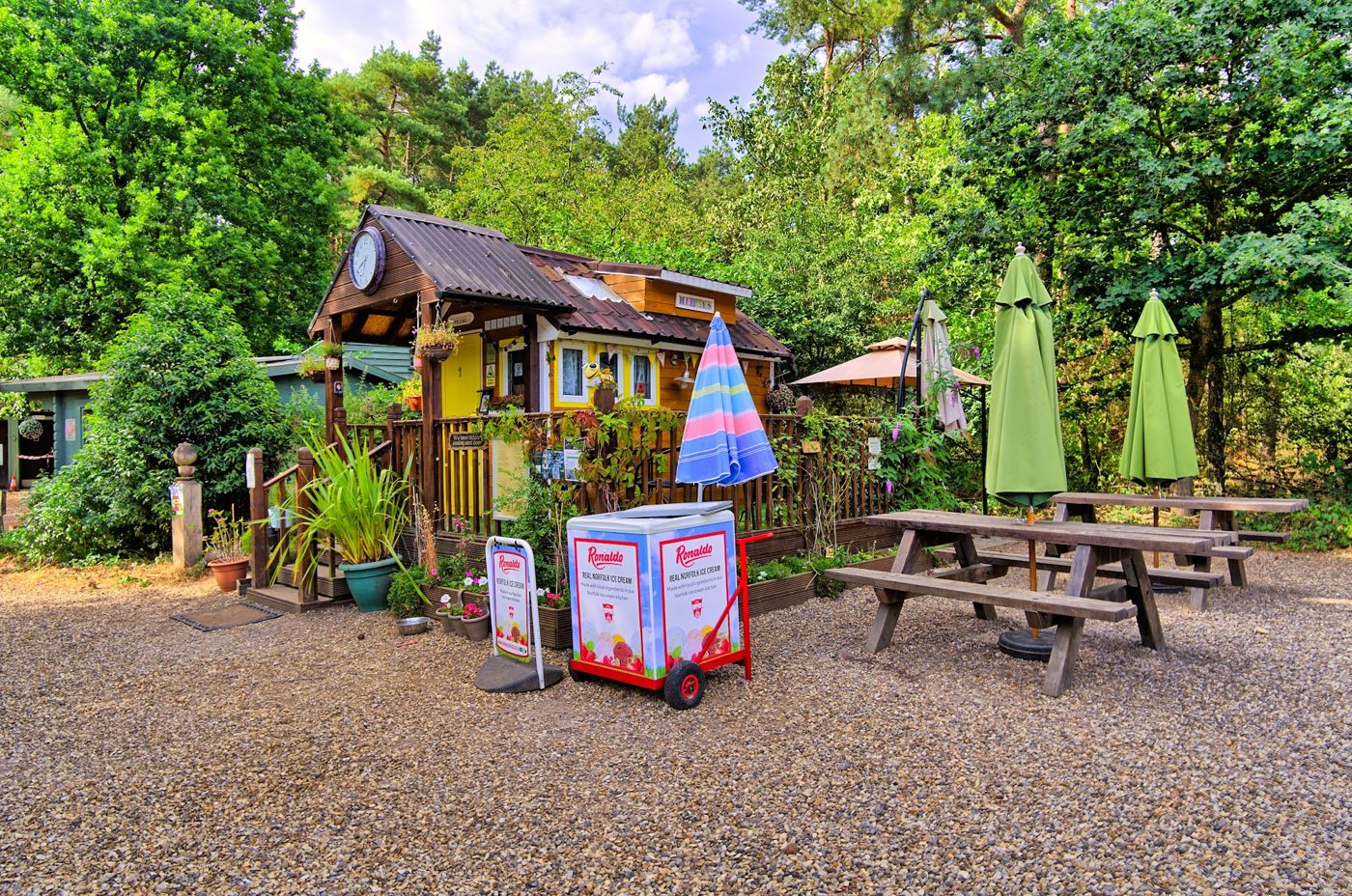 Picnic benches and parasols outside the tea room
